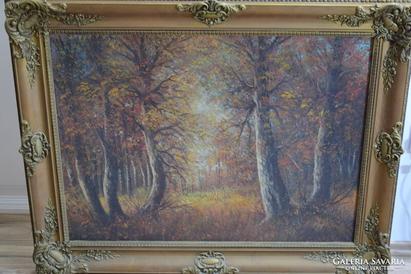 Gyönyörű festmény erdős táj impozáns bárhová kellemes hangulatú