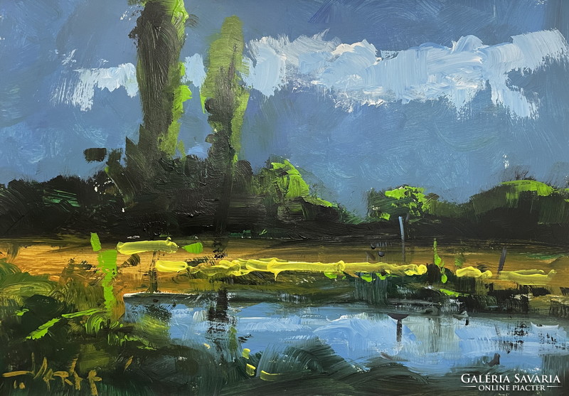 T.Varga: landscape, oil painting