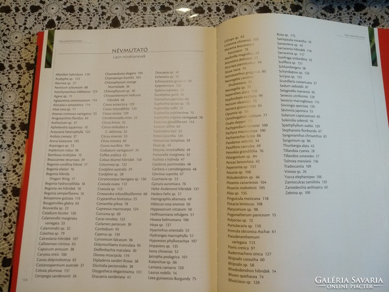 Váczi-Nagy- Dede- Illyés: Nagy szobanövény lexikon,  Alkudható
