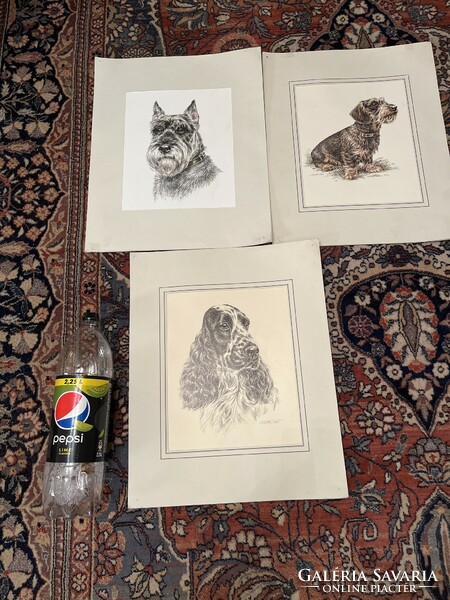 Original m. Esser art prints with mount, without frame. On quality paper, two with signature