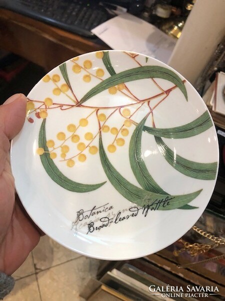 Angol porcelán tányér, 15 cm-es nagyságú, botanika sorozatból.