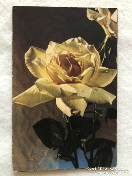 Antique, old postcard with rose flowers -2.
