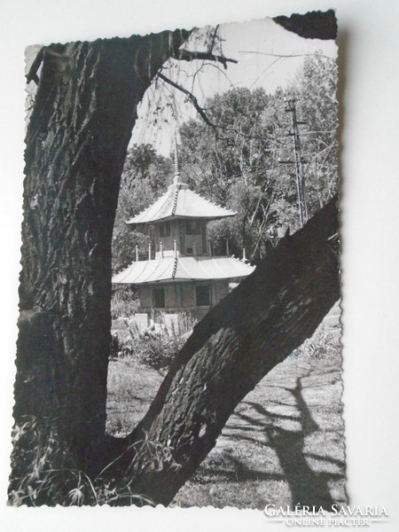 D192279 old postcard - part of a sacred Japanese garden in the park of the county hospital