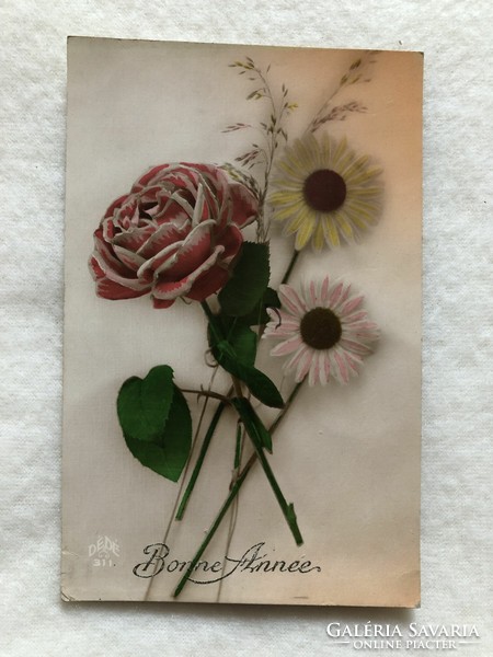 Antik, régi színezett virágos képeslap                   -2.