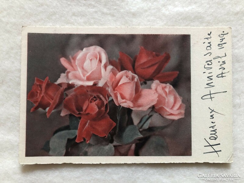 Régi Rózsa virágos képeslap              -2.