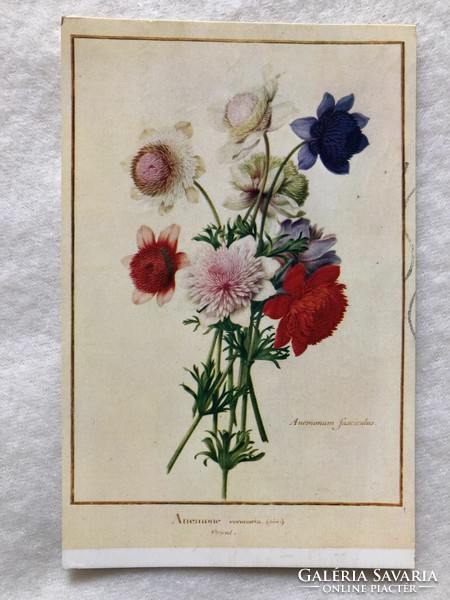 Old floral postcard -2.