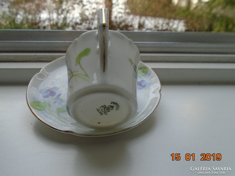 Imperial imperial psl (pfeiffer & lowenstein) violet coffee cup with saucer from the apple series