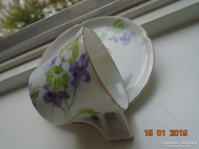 Imperial imperial psl (pfeiffer & lowenstein) violet coffee cup with saucer from the apple series