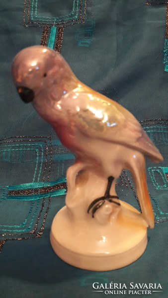 Porcelain parrot (m3255)