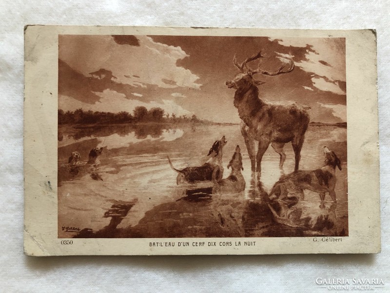 Antique, old postcard - hunting, deer, dogs -2.
