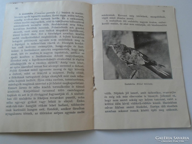 D192620 Mi újság az Állatkertben 1938  április-május  kisméretű füzet  ára 10 fillér -Nadler Herbert