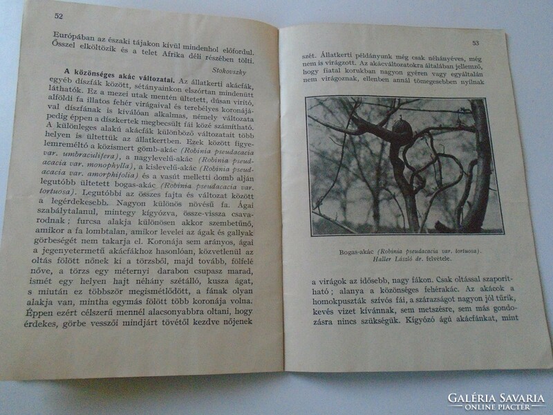 D192620 Mi újság az Állatkertben 1938  április-május  kisméretű füzet  ára 10 fillér -Nadler Herbert