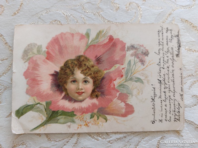 Régi képeslap 1900 levelezőlap növényminta virág baba