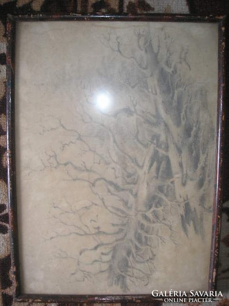 N1 antique 2 pieces of artistic carbon drawing of a forest detail from the front glass plate 40 x 30 cm 17500 ft/piece