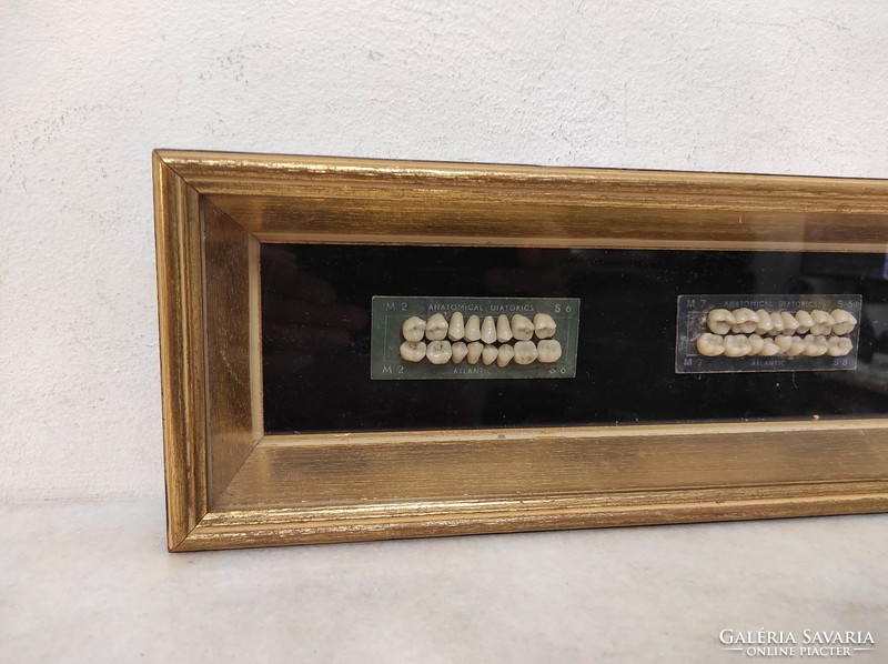 Antik fogorvos doktor orvosi fogtechnikus fog készlet szerszám fa dobozában 189