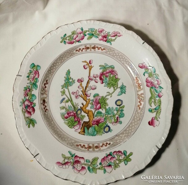 Booth's royal semi-porcelain hand painted wall bowl