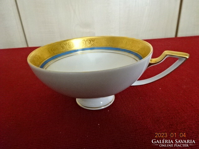 Czechoslovak porcelain antique tea cup with blue stripe and gilded edge. He has! Jokai.