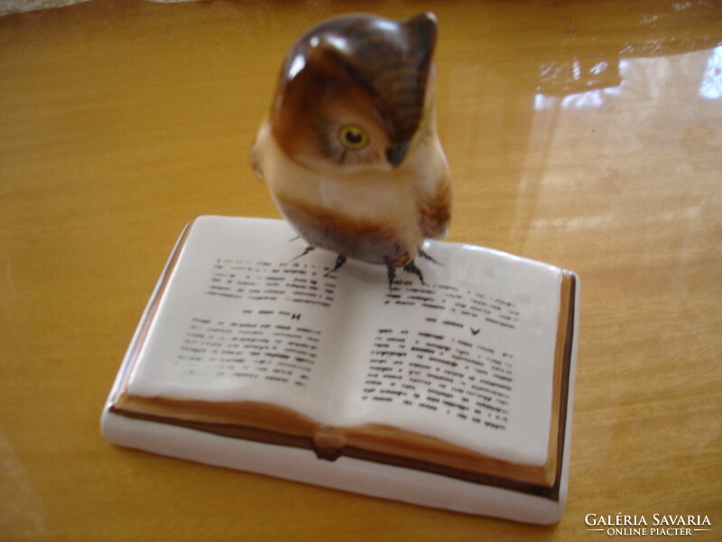 A bookish, reading owl
