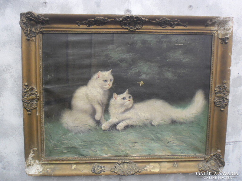 Boleradszky Benő ( 1885-) Játszadozó macskák c. olaj vászon, nagyméretű alkotása. Keretben.