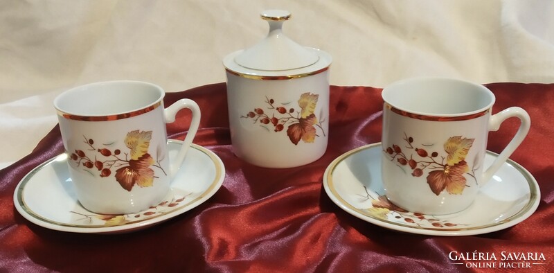 Hollóháza coffee, mocha, autumn, avar, rosehip pattern