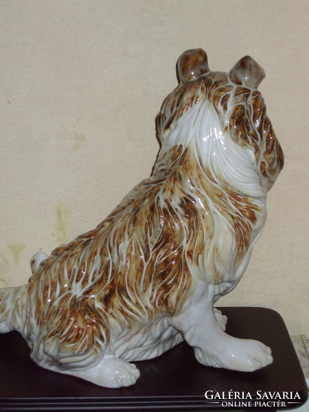 Large Scottish Shepherd (lessie) dog.