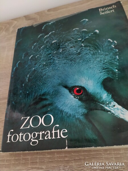 Animal photographs zoo photography - book in German