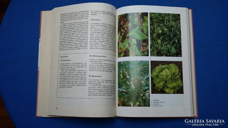 Dr. György Horváth: special garden plants, 1987. Environmental demand, cultivation, use