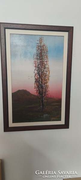 Péter Novák: dawn with a sky-high tree.