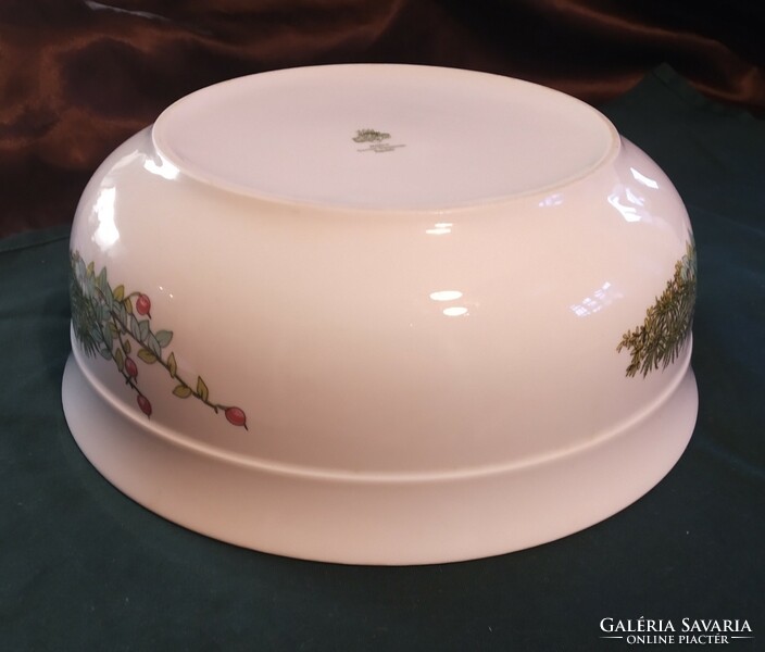 Henneberg German porcelain bowl, 25 cm, botanica, medicinal herb, herba pattern