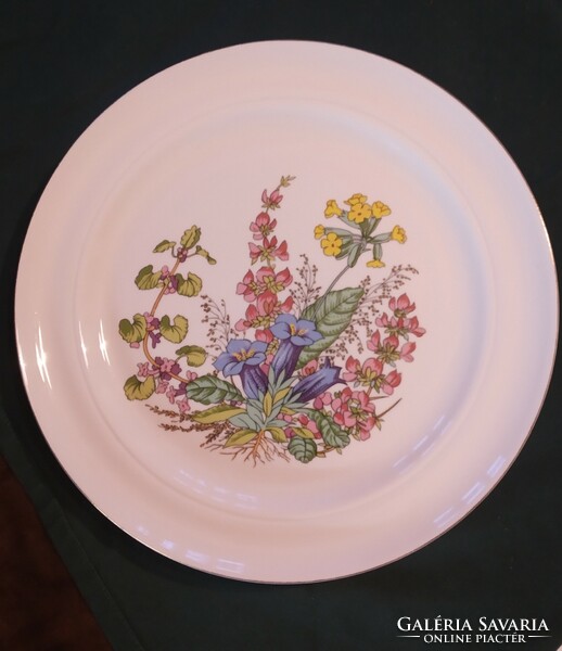 Henneberg German porcelain bowl, 28 cm, botanica, medicinal herb, herba pattern