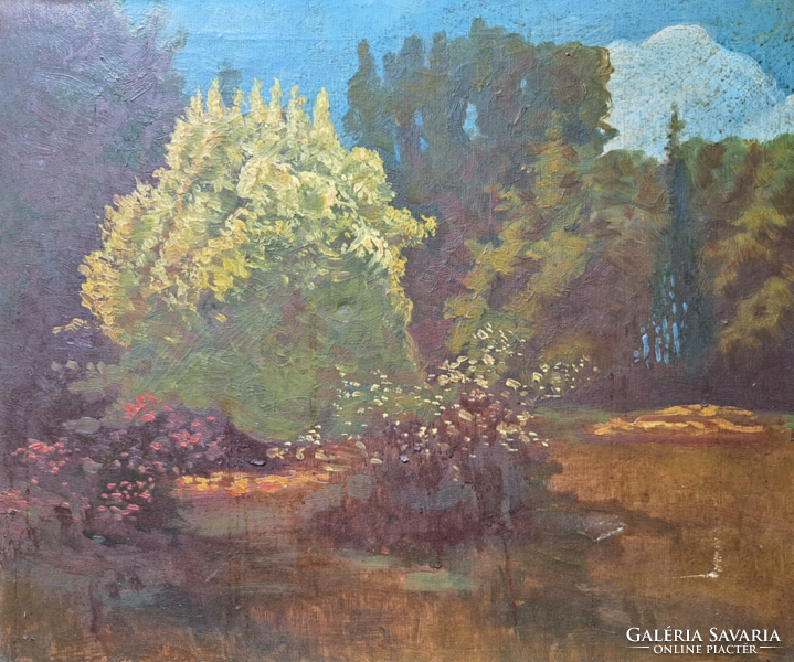Grove, landscape (oil, canvas, size with frame 70x62 cm)