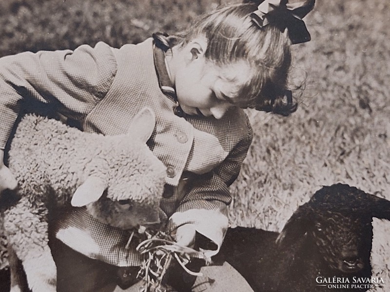 Régi húsvéti képeslap 1967 fotó levelezőlap kislány bárányok
