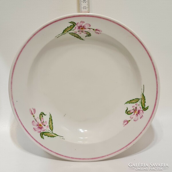 Zsolnay pink mallow flower pattern porcelain plate (2495)