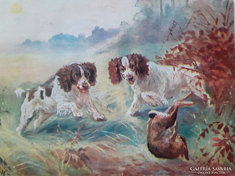 Old postcard 1915 samson art postcard dog bunny hunting