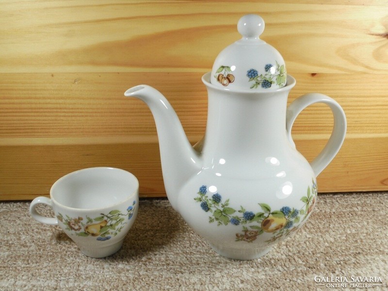 Old jl menau German marked porcelain tea teapot cup set - with fruit pattern