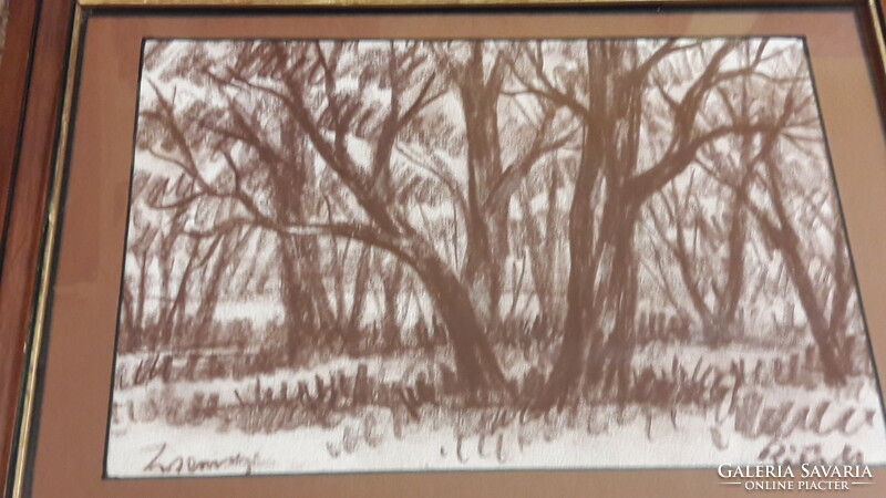 Matthias Reti pencil drawing, forest, trees