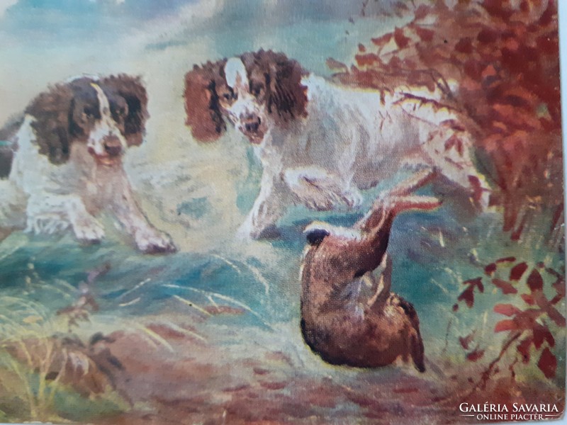 Old postcard 1915 samson art postcard dog bunny hunting
