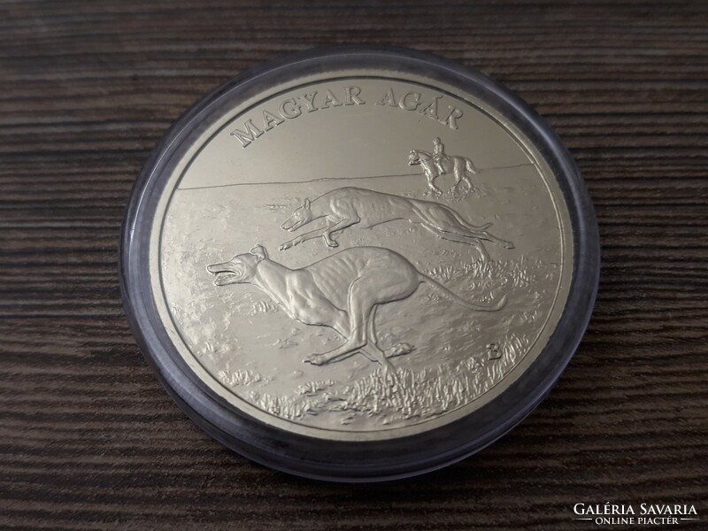 Hungarian Greyhound 2021 - 2000 HUF non-ferrous metal unc proof like commemorative coin in capsule, with brochure