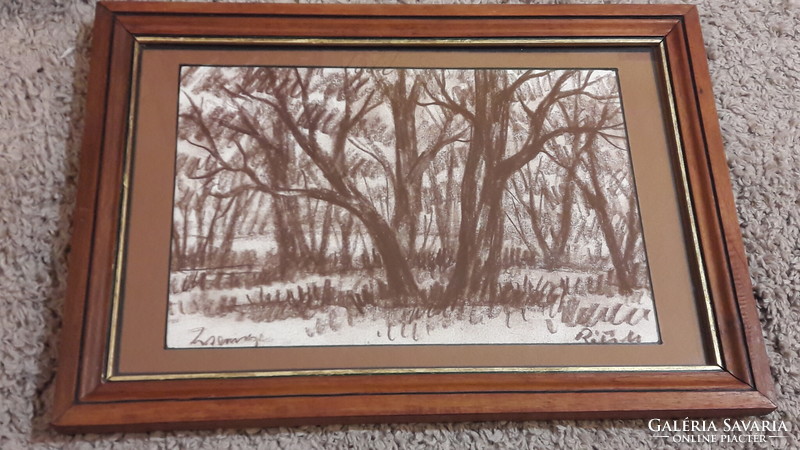 Matthias Reti pencil drawing, forest, trees