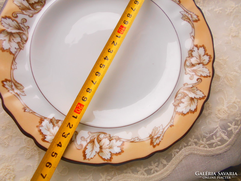 Antique porcelain plate 25 cm