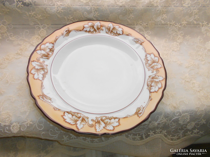 Antique porcelain plate 25 cm