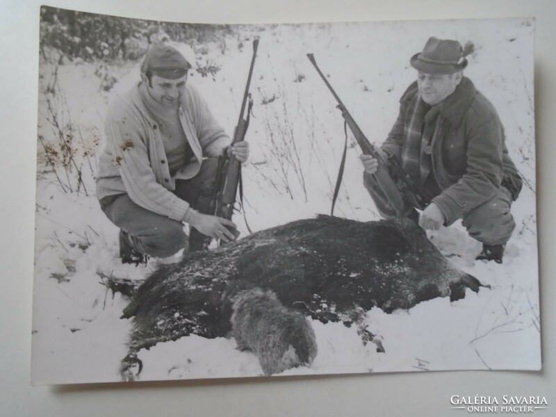 D193012 old photo - hunters with covered boar and dog 1960k