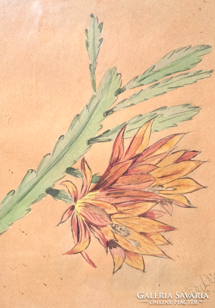 Cactus flower - watercolor from 1970 (size with frame 27x35 cm) unidentified mark