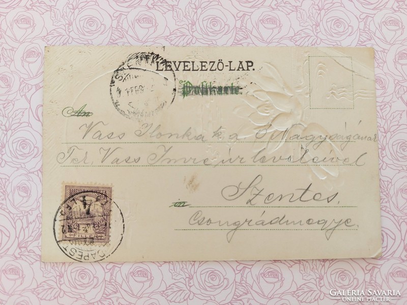 Régi képeslap 1901 dombornyomott levelezőlap tavirózsa hajó