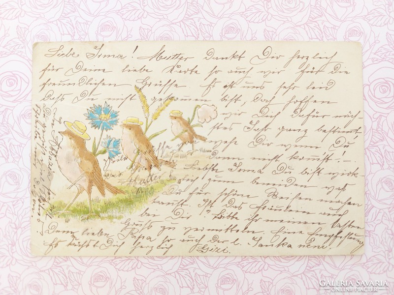 Régi képeslap dombornyomott levelezőlap virág kismadár