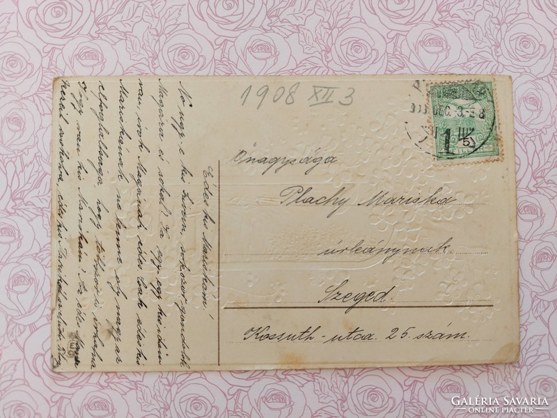Régi képeslap 1908 dombornyomott levelezőlap nefelejcs tájkép