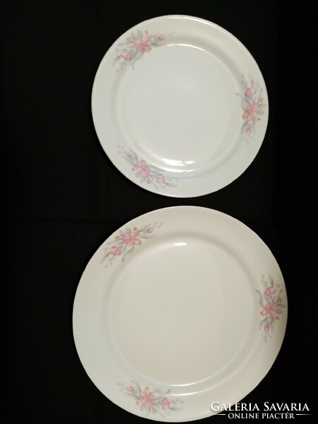 Lubiana Polish plates