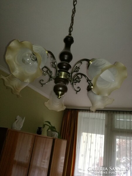 Beautiful five-branch chandelier, ceiling lamp