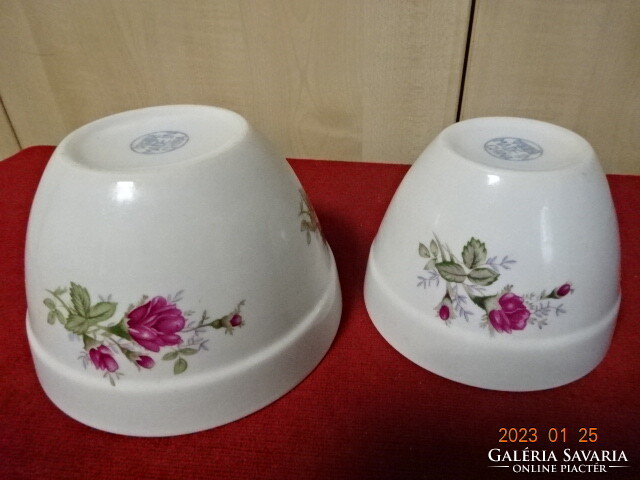 Chinese porcelain bowl, two pieces, rose pattern. He has! Jokai.