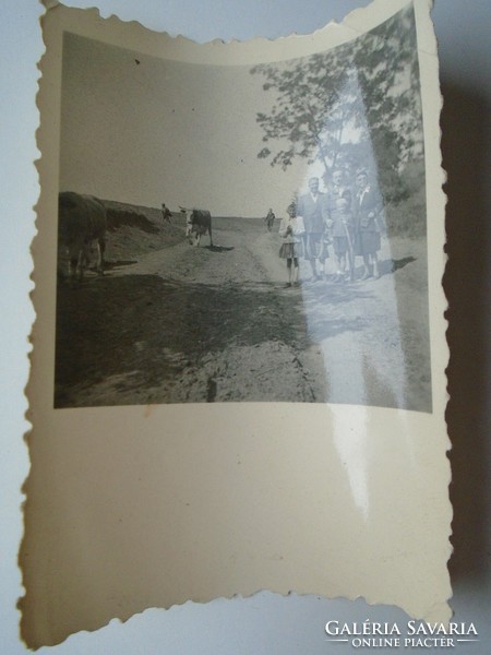 D193044 old photo - Nógrád 1940k
